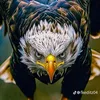 user78qas1xbgi