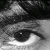anto_xd19