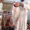 fazil.khan3180