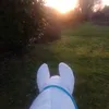 hobby.horsing715