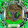 dsabbir05