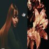 sei9fri3d