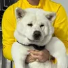 kontrolooosaa