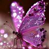 user2622571960861