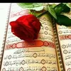 omahmed3669
