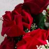 Rosse0010
