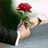 user8161997628348