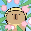 hyappybara