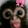 nevilyx_lol