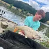 fishwithginge