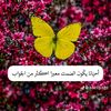 user124566788992