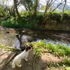 harry.rowe15