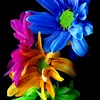 user7618581796380