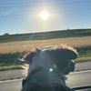 daniel.larson.js.roke.up