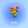 saranda7398