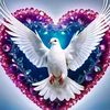 user41407060857620