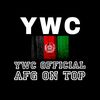 ywcali1