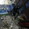loudcoringa020