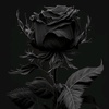 black.rose6699