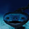 bill_priv1