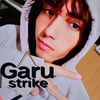 botstrike._
