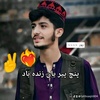 talibsaqiii804