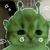 farrowr_12