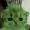 adelia.adeldel