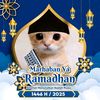 jgn_sok_iyedeh