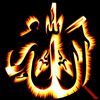 user889037133