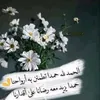 safaa4840