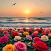 laila.meriem8