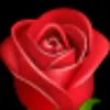 user27839158211261