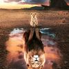 hanif__i