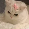 nhnhugg2