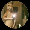 user59811379859618