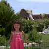haizeavasallo