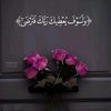 manar.hossam42