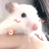 kim.anh.o211