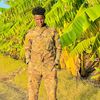 dahir9501