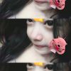 pinnpinolll