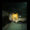 dania_ff2