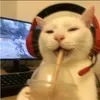 coffee_mate17