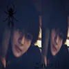 p4l.szelii