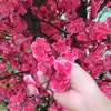 thy.hng3948