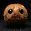 koryiscoolioo