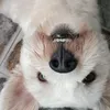 meowmeowyou0