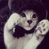 pr3ttymeow