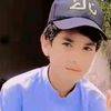 rehangull222