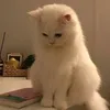 bcnxm.ncncn0